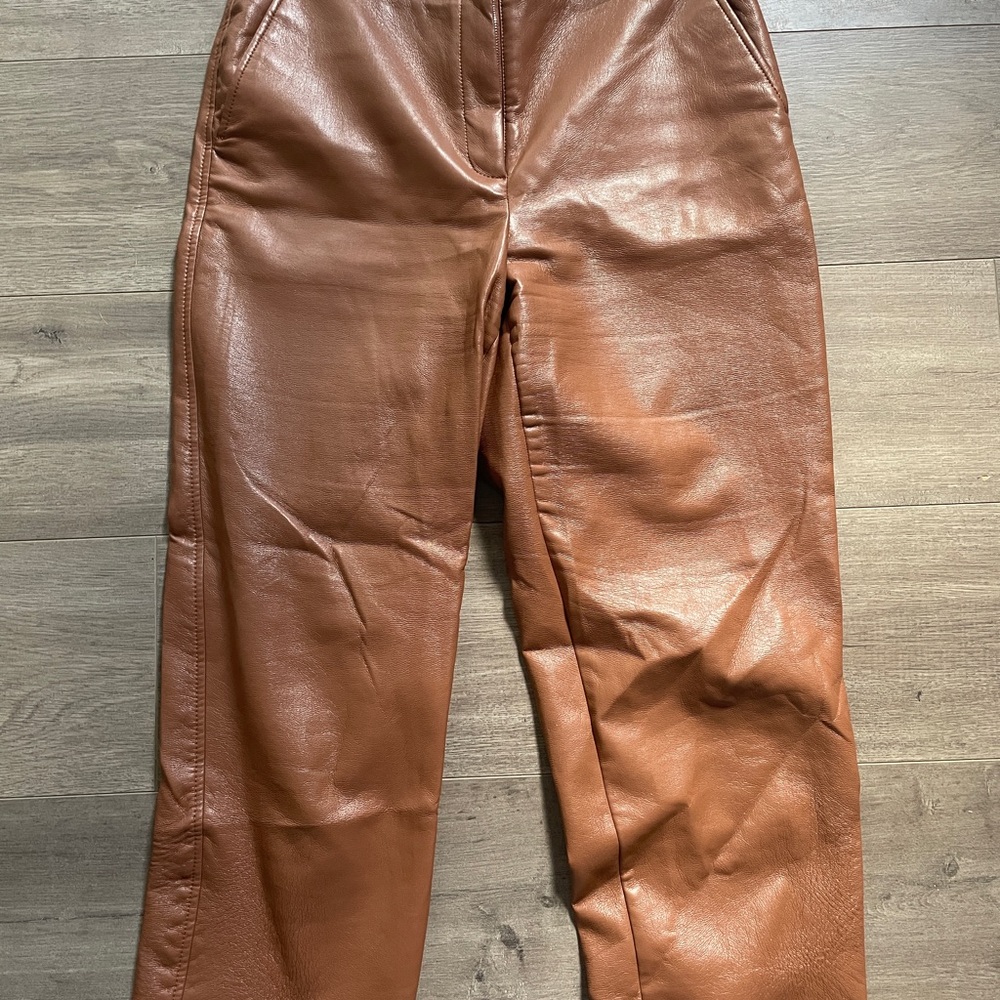 Babaton Tan and Black Pants